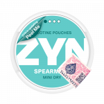 ZYN - Spearmint Mini Dry (2••)